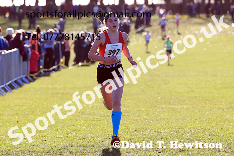 Girls under-13s 2025 Northern Cross Country Champs, Tatton Park, Knutsford, Cheshire. Photo: David T. Hewitson/Sports for All Pics